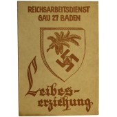 Identificación de logros de un militar del RAD en el Reichsarbeitsdienst GAU 27